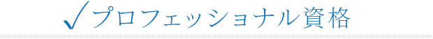 プロフェッショナル資格