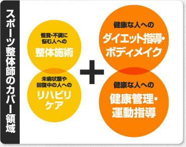 スポーツ整体師のカバー領域