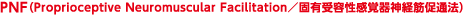 PNF（Proprioceptive Neuromuscular Facilitation／固有受容性感覚器神経筋促通法）
